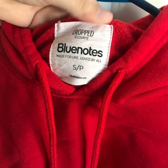 Bluenotes Cropped Hoodie - Picture 4 of 5